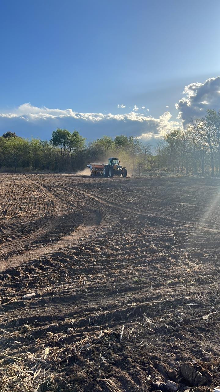 Tractor preparando la tierra al atardecer